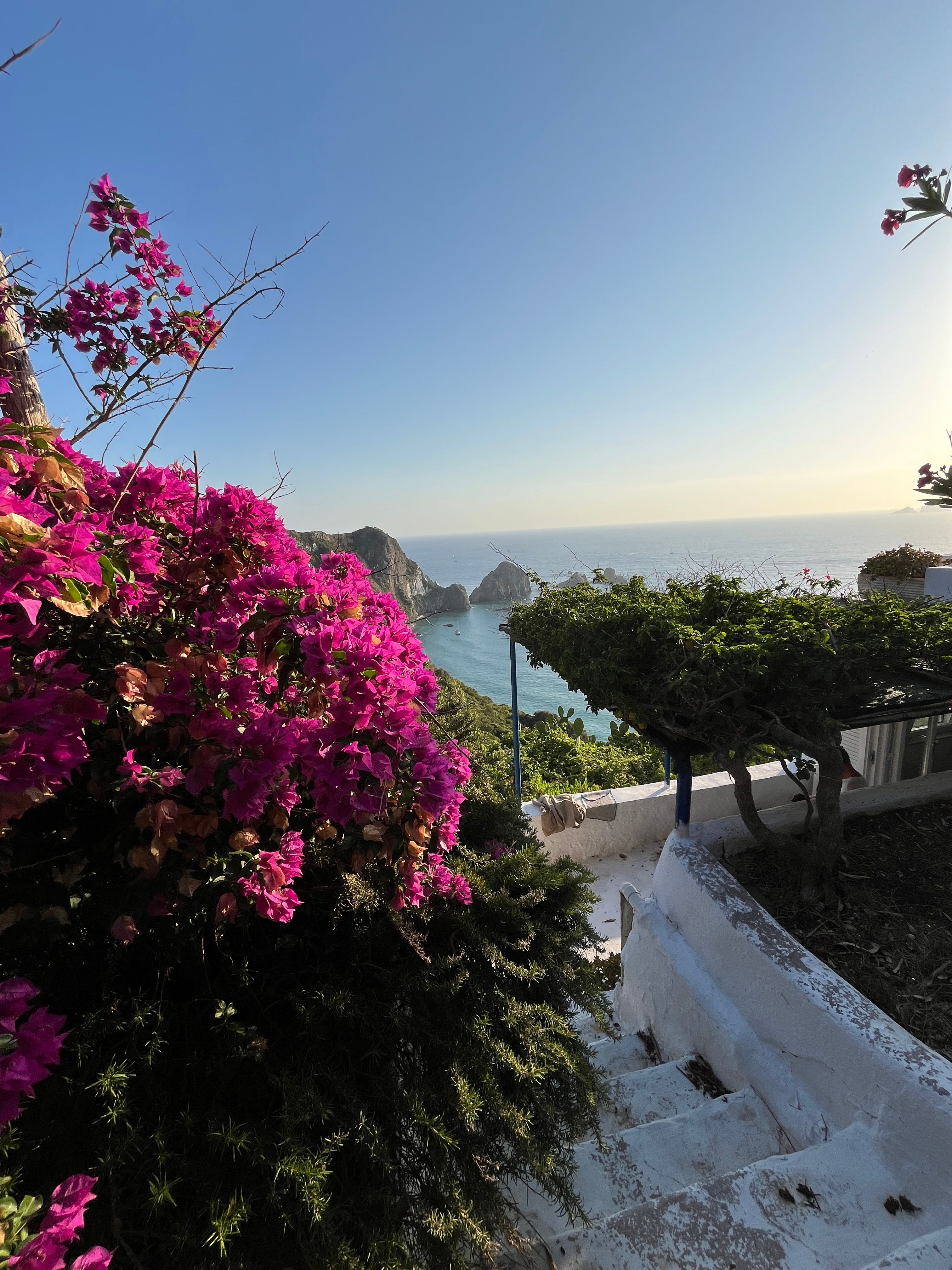 Ponza