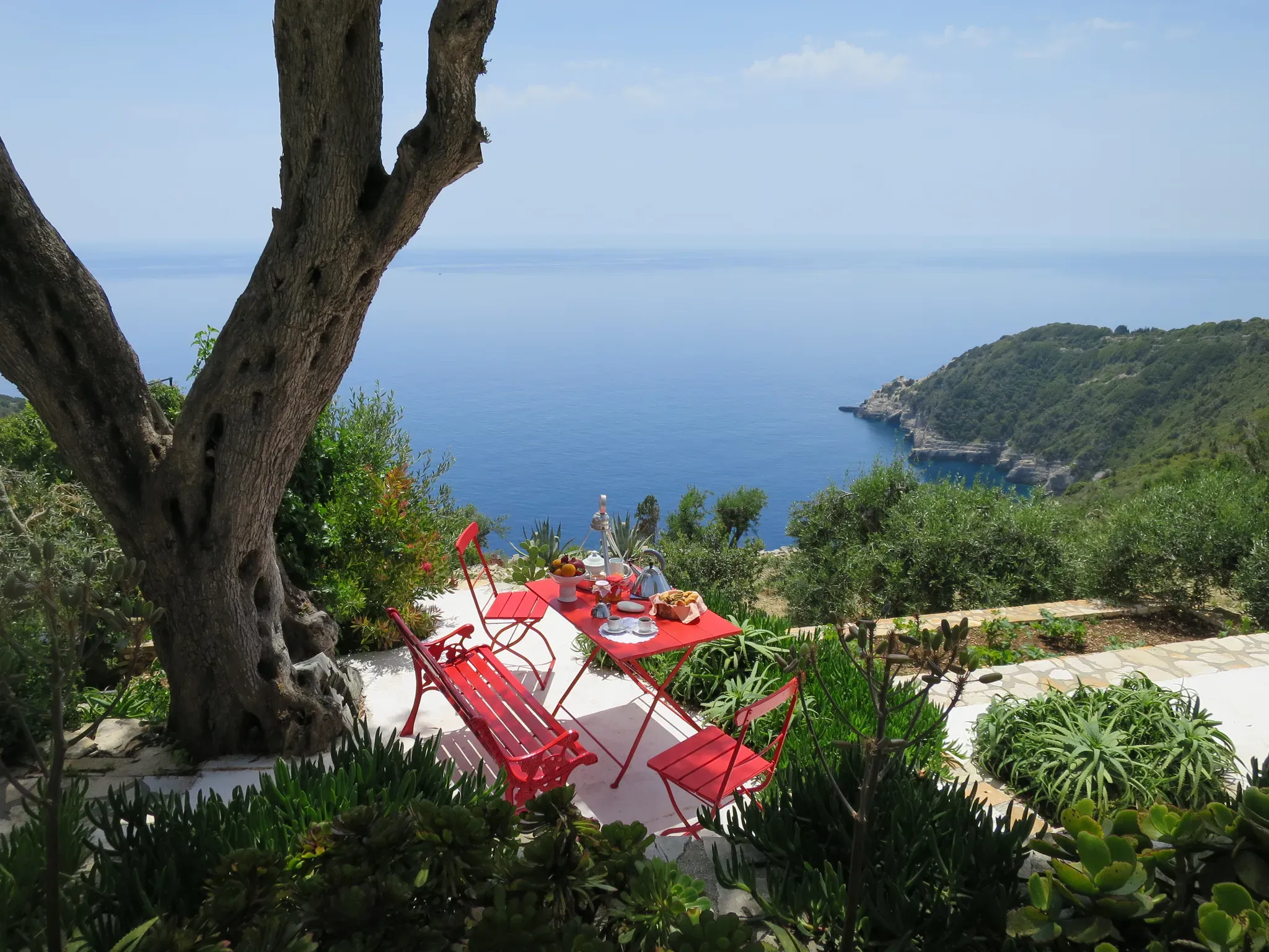 Paxos